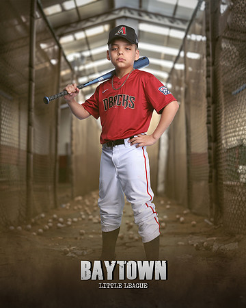 M1_Diamondbacks_Mujica_Edgard_IMGL1056_CAGE_