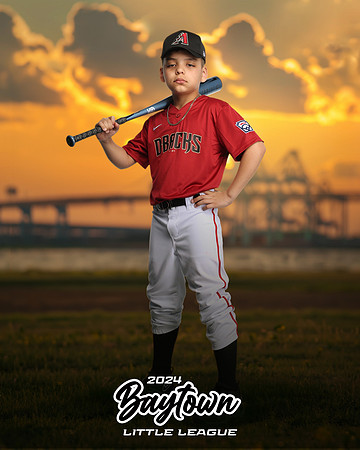 M1_Diamondbacks_Mujica_Edgard_IMGL1056_THE BRIDGE_