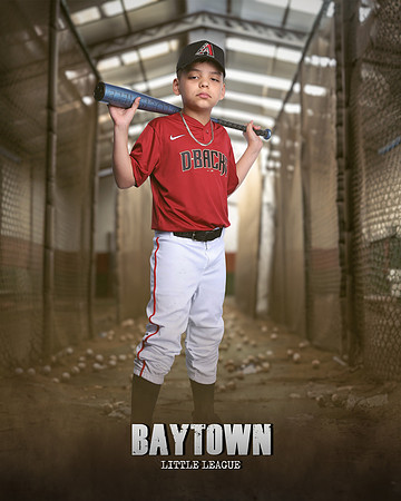 M1_Diamondbacks_Mujica_Edgard_IMGL1057_CAGE_
