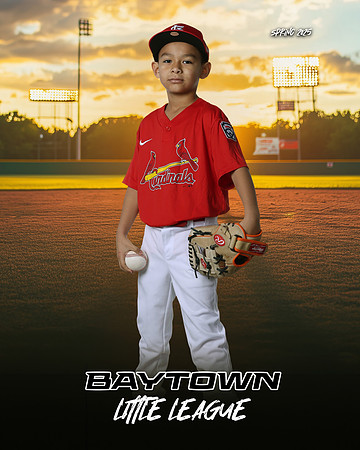 M3_ Cardinals_Camargo_Narsiso_BAY27984_SUNSHINE