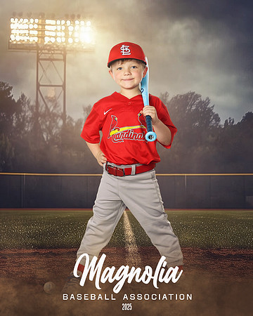 4_5U_Cardinals_Brami_Mason_MAG11661_FIELD LIGHTS_