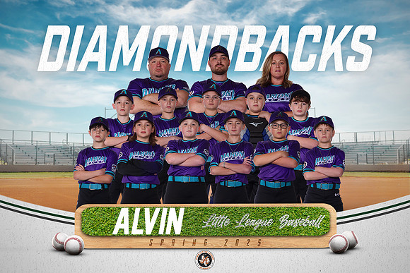 MINORS_DIAMONDACKS_10U