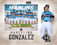 MJR.Dickson.Marlins_Gonzalez_Marcelino_SF_27473_MM