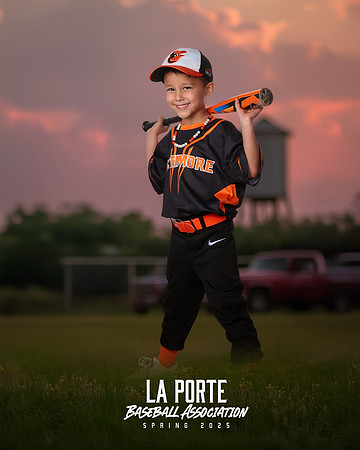 4U_Foal_Orioles_Newell_Ripp_LP010365_TRUCK