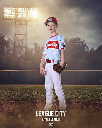 CAM17320-2_FIELD LIGHTS_