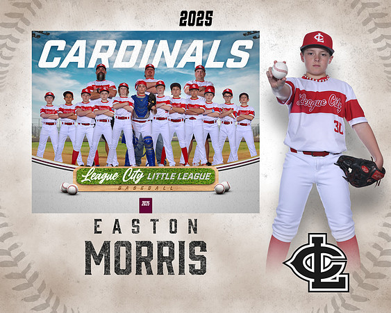 MJR.Powell.Cardinals_Morris_Easton_143A1845_MM