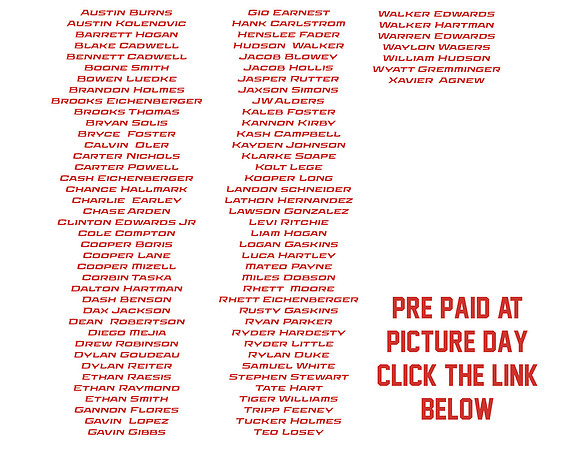 PRE PAID PANEL
