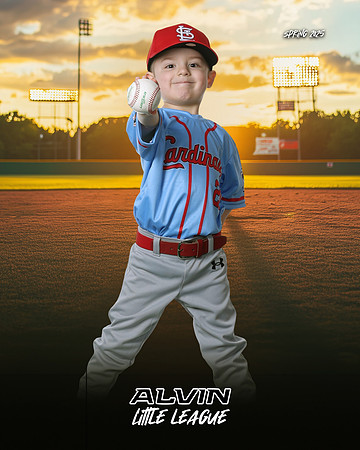 TB_ CARDINALS_Salinas_Alfredo_CAM16433_SUNSHINE