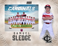 A.Crenshaw.Cardinals_Sledge_Samuel_143A1948_MM_MM