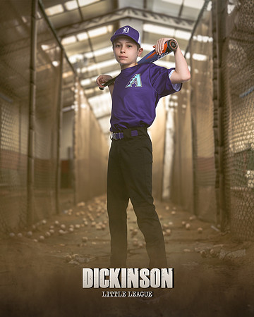 MAJORS_DIAMONDBACKS_CORTEZ_BARRAN_LILLEY_DLL20402_THE CAGE_