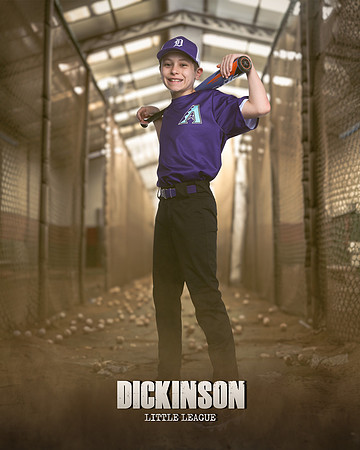 MAJORS_DIAMONDBACKS_CORTEZ_BARRAN_LILLEY_DLL20401_THE CAGE_