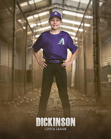 MAJORS_DIAMONDBACKS_CORTEZ_BARRAN_LILLEY_DLL20396_THE CAGE_