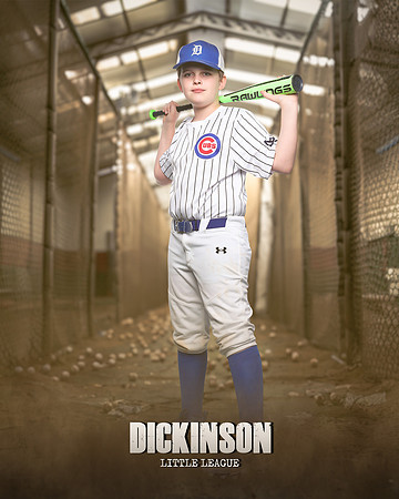 MAJORS_CUBS_PEREZ_Carter_Hartman_IMGL0934_THE CAGE_