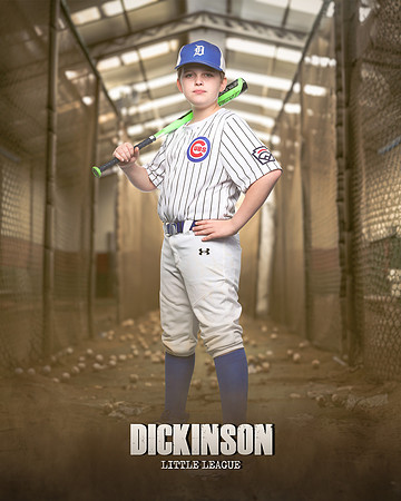 MAJORS_CUBS_PEREZ_Carter_Hartman_IMGL0932_THE CAGE_
