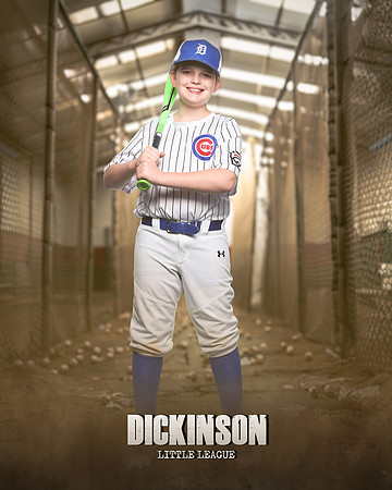 MAJORS_CUBS_PEREZ_Carter_Hartman_IMGL0929_THE CAGE_