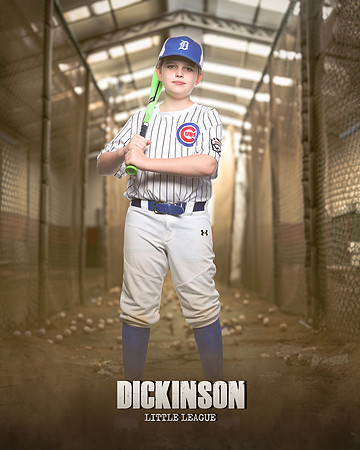 MAJORS_CUBS_PEREZ_Carter_Hartman_IMGL0930_THE CAGE_