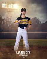 CAM17563-2_FIELD LIGHTS_