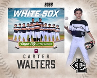 AAA.Bales.WhiteSox_Walters_Carter_143A1146_MM_MM