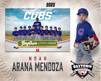 M3_ Cubs_Arana Mendoza_NOAH_BAY12264_MM