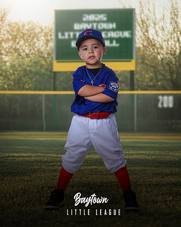 TB_ Cubs_Rodriguez_Santiago_BAY29844_SIGN