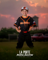 4U_Foal_Orioles_Cook_Connor_LP011743_TRUCK
