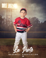 4U_Foal_Cardinals_Totten_William_LP022575_FIELDLIGHTS