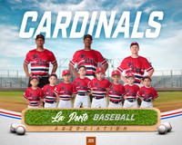 4U_Foal_Cardinals_Totten_William