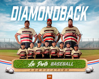 4U_Foal_Diamondbacks_Torres_Rylee