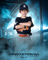 PW_TIGERS_George_Theodore_HN010163_DUGOUT