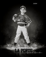 4U_Foal_Cardinals_Gamblin_Palmer_LP022820_ROF_BW