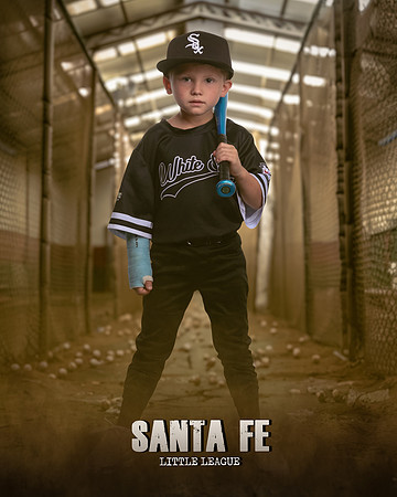 CP_WHITESOX_Loftin_Walker_IMGL0775_CAGE_
