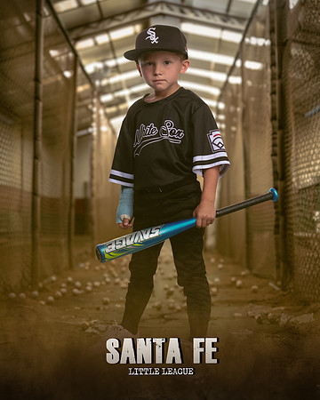 CP_WHITESOX_Loftin_Walker_IMGL0779_CAGE_