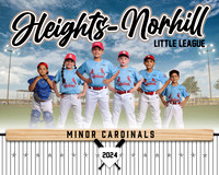 MINOR CARDINALS-ONLY 6 PEOPLE