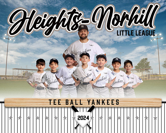 TB YANKEES