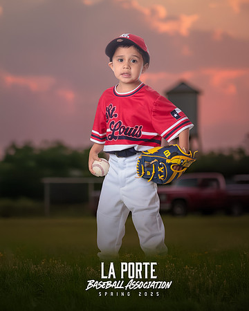 4U_Foal_Cardinals_Chavez_Zed_LP022532_TRUCK