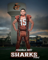 JUNIOR_Sanchez_Fabian_IMGL1395_WATER TOWER_