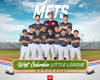 MINORS METS_Daugherty_Hogan