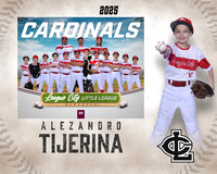 AAA.Lutz.Cardinals_Tijerina_Alezandro_143A1974_MM_MM