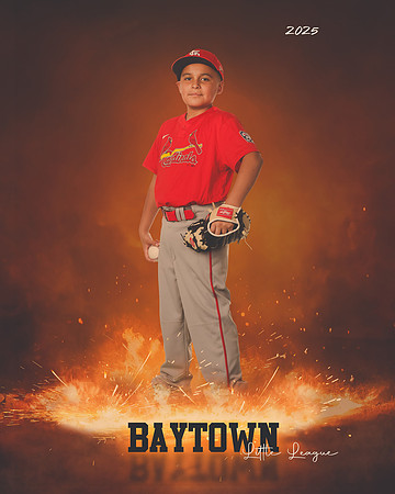 M1_Cardinals_Trujillo_Benjamin Noah_BAY14318_ROF
