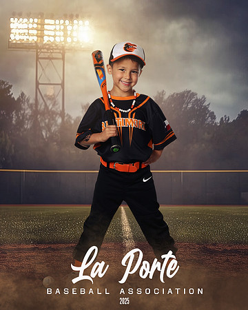 4U_Foal_Orioles_Newell_Ripp_LP010363_FIELDLIGHTS