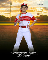 MJR.Powell.Cardinals_Bice_Landan_143A1729_SUNSHINE