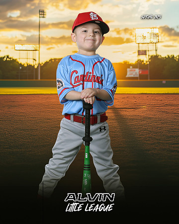 TB_ CARDINALS_Salinas_Alfredo_CAM16431_SUNSHINE