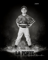 4U_Foal_Cardinals_Gamblin_Palmer_LP022816_ROF_BW