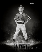 4U_Foal_Cardinals_Gamblin_Palmer_LP022817_ROF_BW