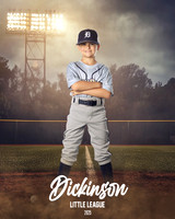 MINORS_IRONPIGS_Suarez_Price_DLL12692_FIELD LIGHTS_