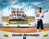 ELEMENT_Marmolejo_Camila_PGS10389_MM
