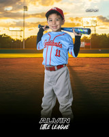 TB_ CARDINALS_Mejia_Mateo_143A3183_SUNSHINE