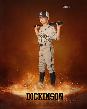 MINORS_IRONPIGS_Suarez_Price_DLL12696_ROF