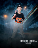 PW_TIGERS_Dees_Archer_HN010099_BESOMEONE