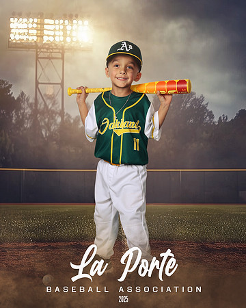 4U_Foal_Athletics_Gallardo_Orion_LP010667_FIELDLIGHTS